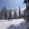 20-skitour kitzbhler alpen 2013