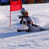07-parallelslalom 2017