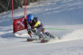 DSV-Skirennen